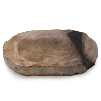 Petrified Wood Soap Dish - Black