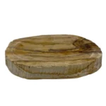 Soap Dish - Petrified Wood - Brown