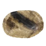 Petrified Wood Soap Dish - Black