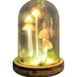 Led Mushroom Glass Globe - 22cm