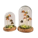 Led Mushroom Glass Globe - 22cm